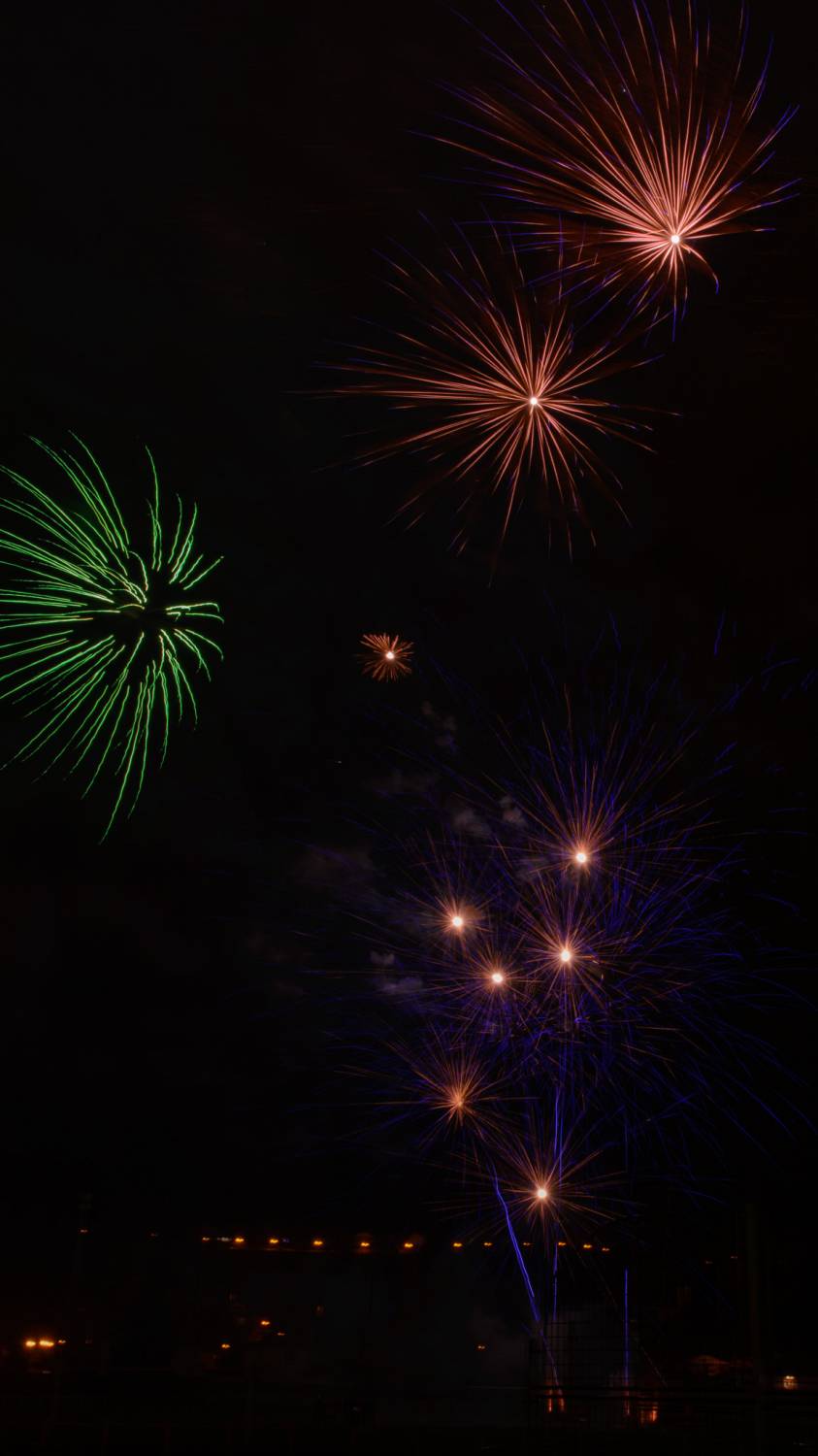 190308_2_Parade des lumières_031